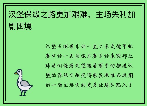 汉堡保级之路更加艰难，主场失利加剧困境