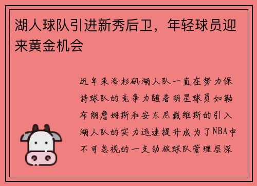 湖人球队引进新秀后卫，年轻球员迎来黄金机会